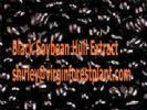 Black Soybean Hull Extract (Shirley At Virginforestplant Dot Com)